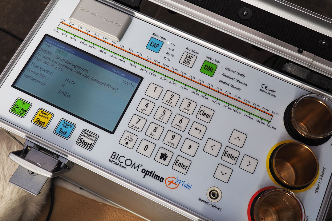 Auch Kleintieren kann in vielen Fällen mit Chiropraktik geholfen werden. Sprechen Sie uns an!