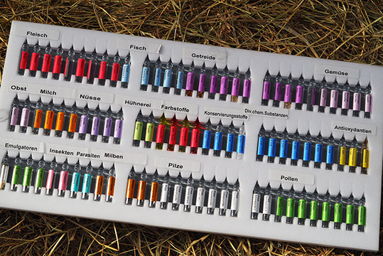 Auch Kleintieren kann in vielen Fällen mit Chiropraktik geholfen werden. Sprechen Sie uns an!