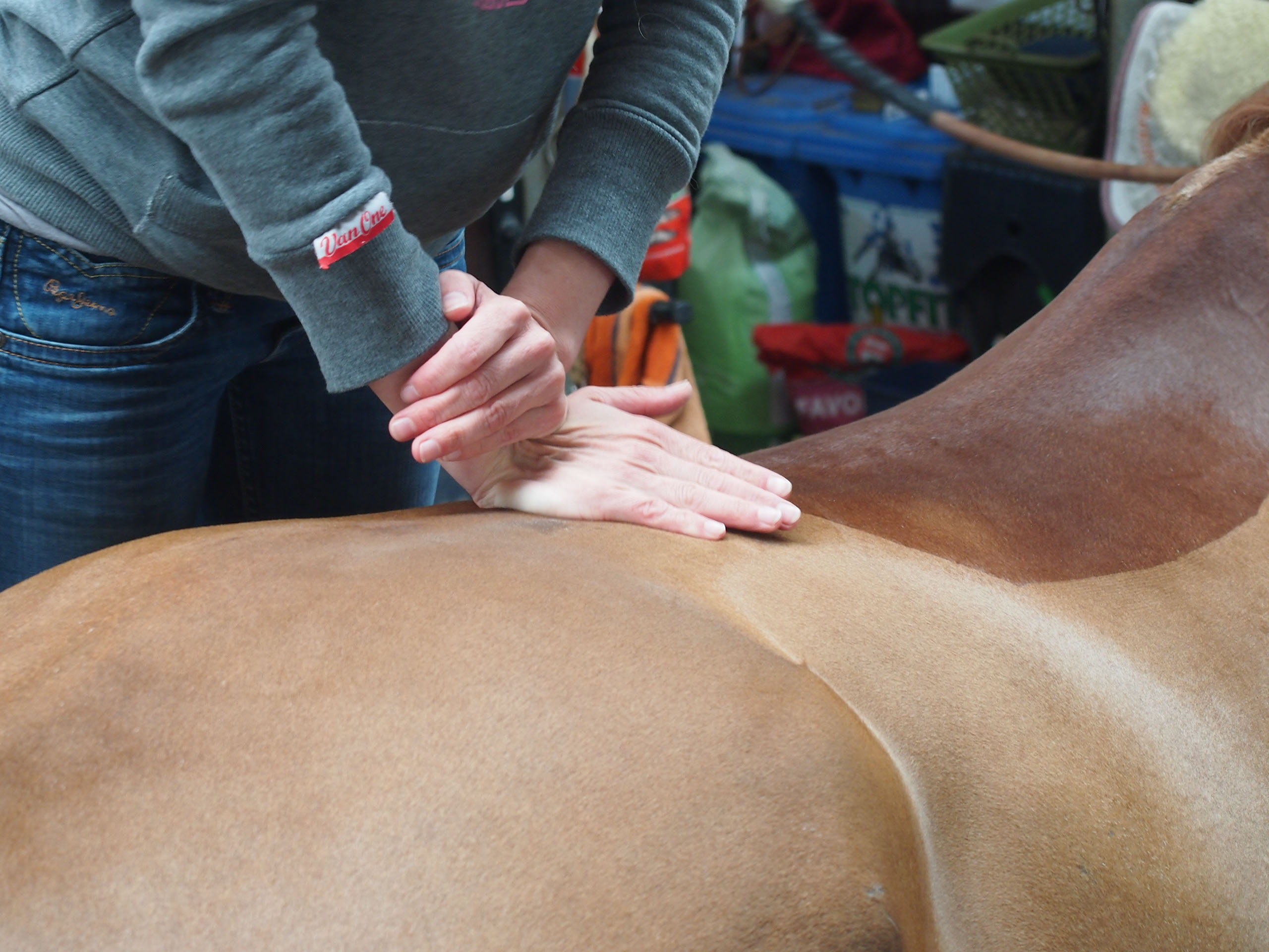 Prophylaktische Behandlung zur Erhaltung der Gesundheit als auch bei akuten Problemen, Chiropraktik hilft.
