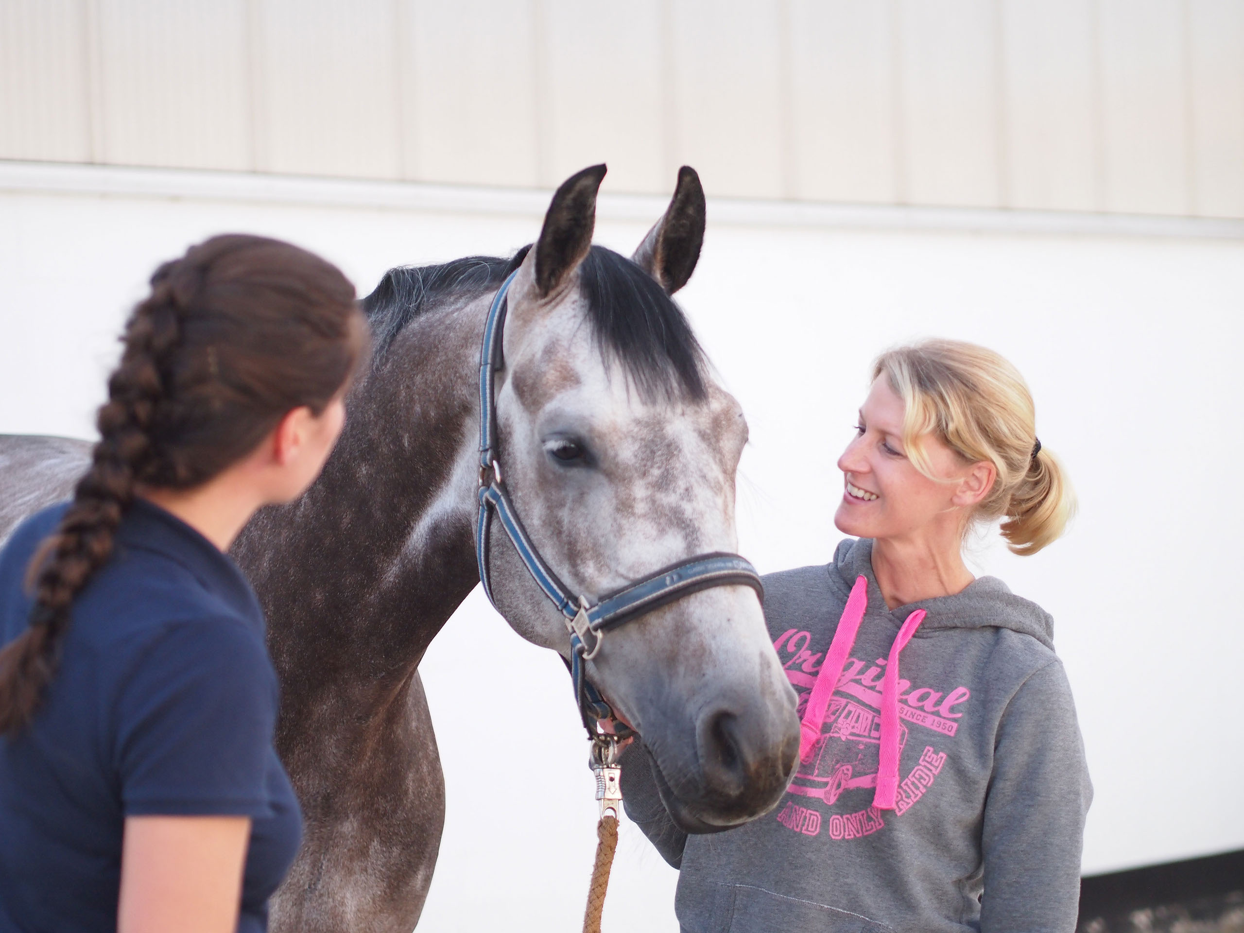Ob Amateurreiter oder Profisportler, bei uns ist Ihr vierbeiniger Partner in den besten Händen.