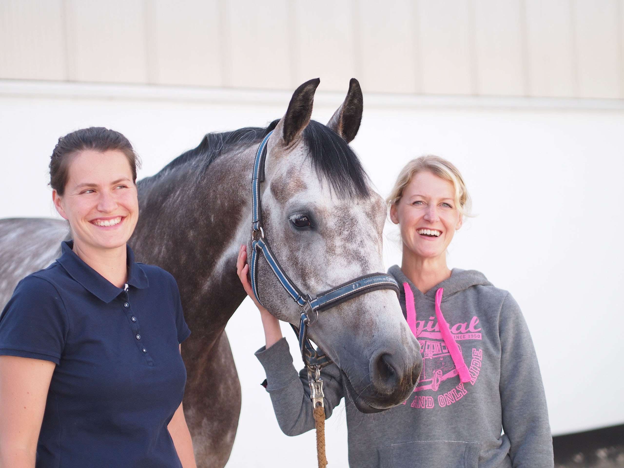 Teamwork bei den Tierärztinnen Wiedenhöft und Stubbe in Trittau