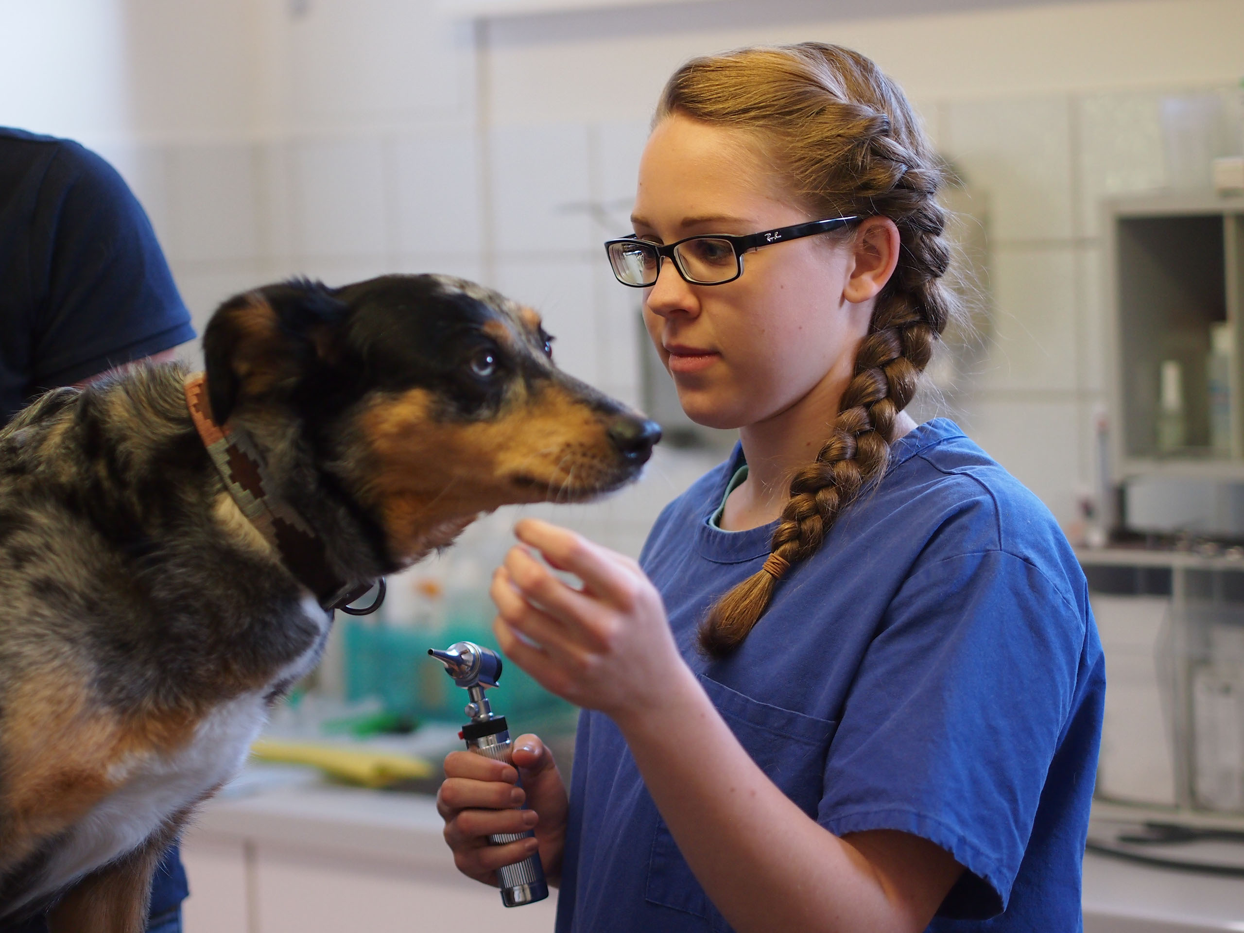 Lucy liebt alle Tiere und ist unser Sonnenschein in der Praxis