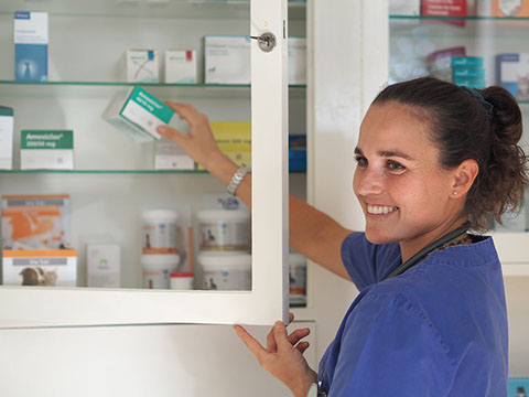 Immer im Einsatz für Sie und Ihr Pferd. Tierärztin Dörte Wiedenhöft bietet 24h Stunden Bereitschaftsdienst an.